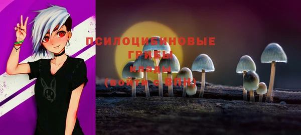 ПСИЛОЦИБИНОВЫЕ ГРИБЫ Алзамай