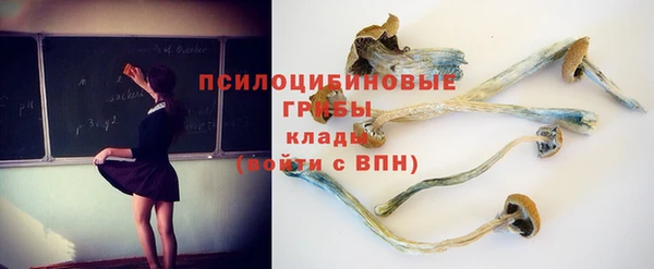 ПСИЛОЦИБИНОВЫЕ ГРИБЫ Алзамай