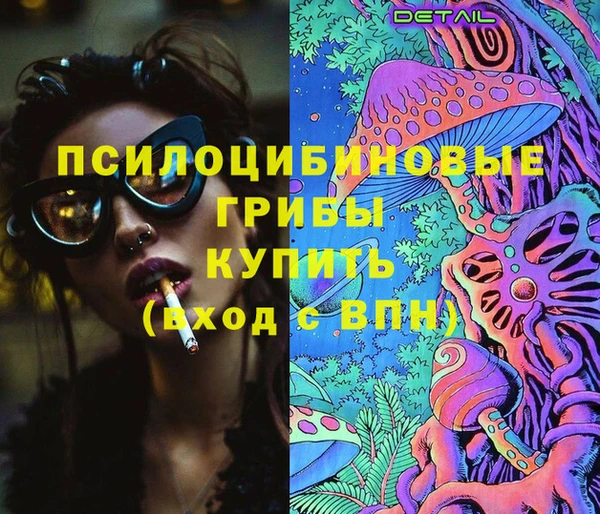кокс Алексин