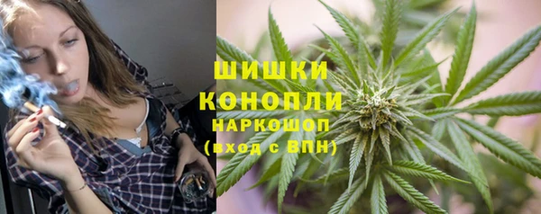 ПСИЛОЦИБИНОВЫЕ ГРИБЫ Алзамай