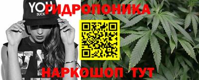 шишки Конаково