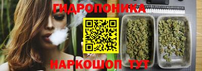 шишки Конаково