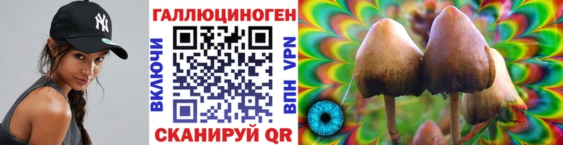 Галлюциногенные грибы Cubensis  Лесосибирск 