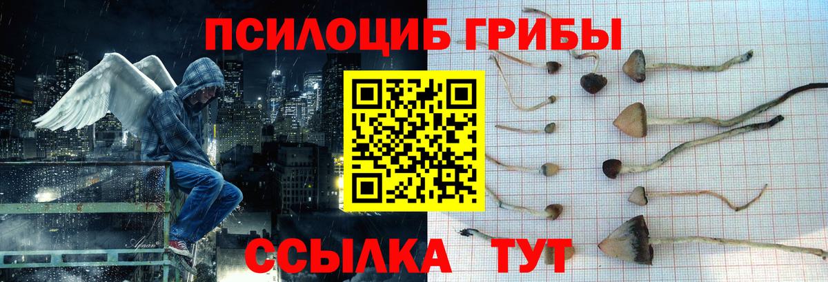 Псилоцибиновые грибы Magic Shrooms  Вход с VPN  Лесосибирск 